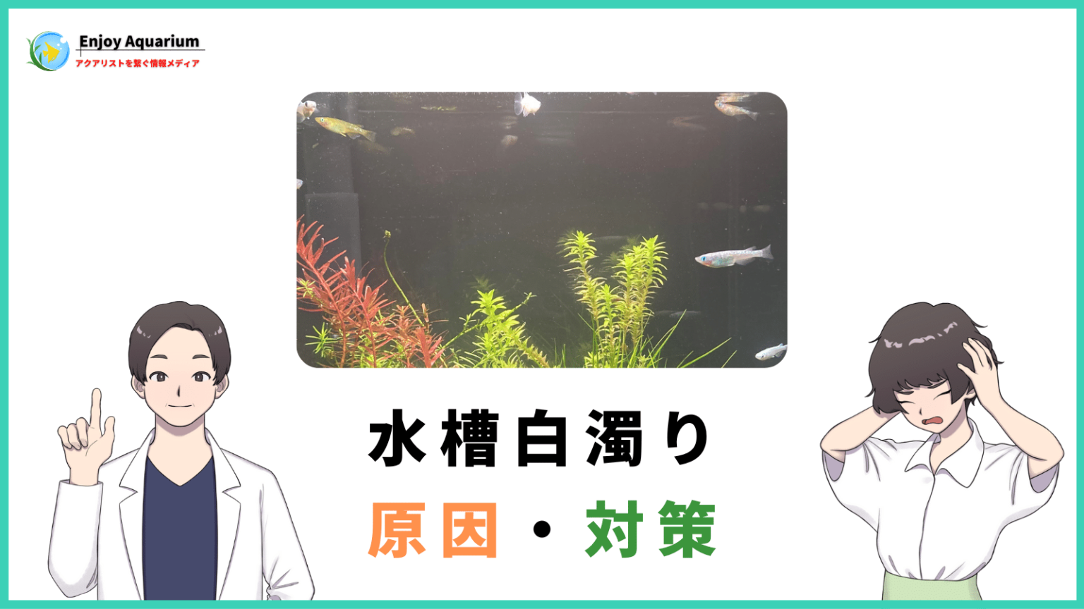 水槽白濁りの放置は危険?知っておきたい原因と除去方法や魚への影響 | アクアリウムを楽しもう