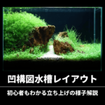 IAPLC2023参加作