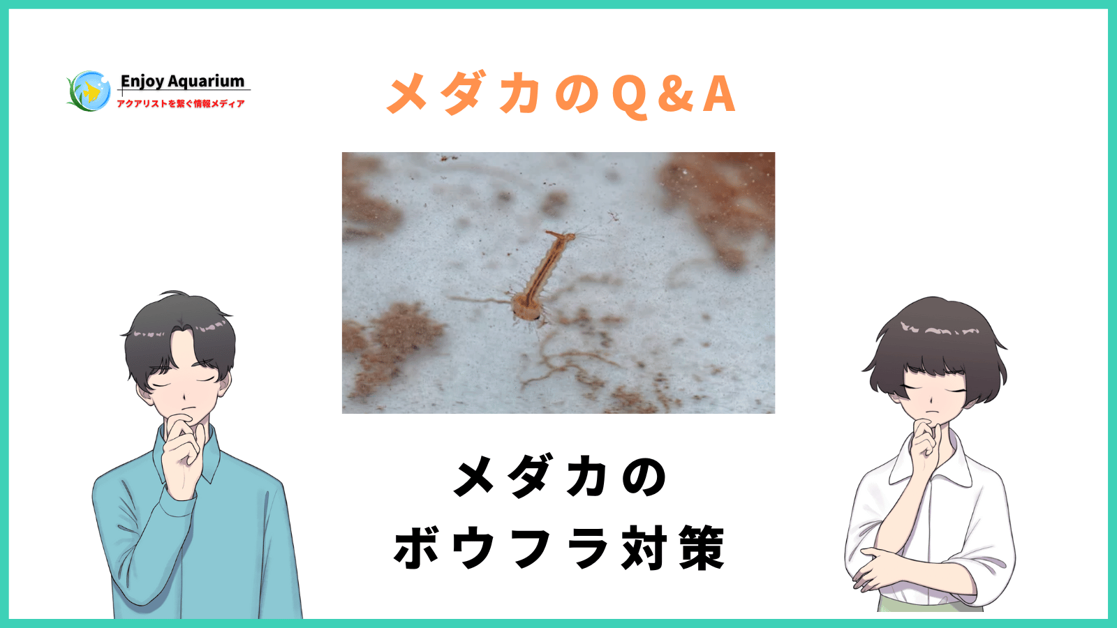 メダカのボウフラ対策